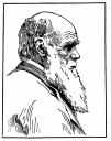 darwin1.jpg (2850 bytes)