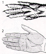 mar1.gif (18690 bytes)